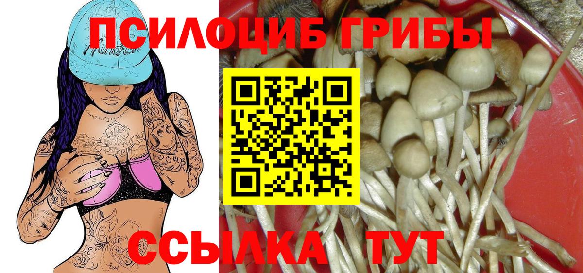 Галлюциногенные грибы ЛСД Гуково