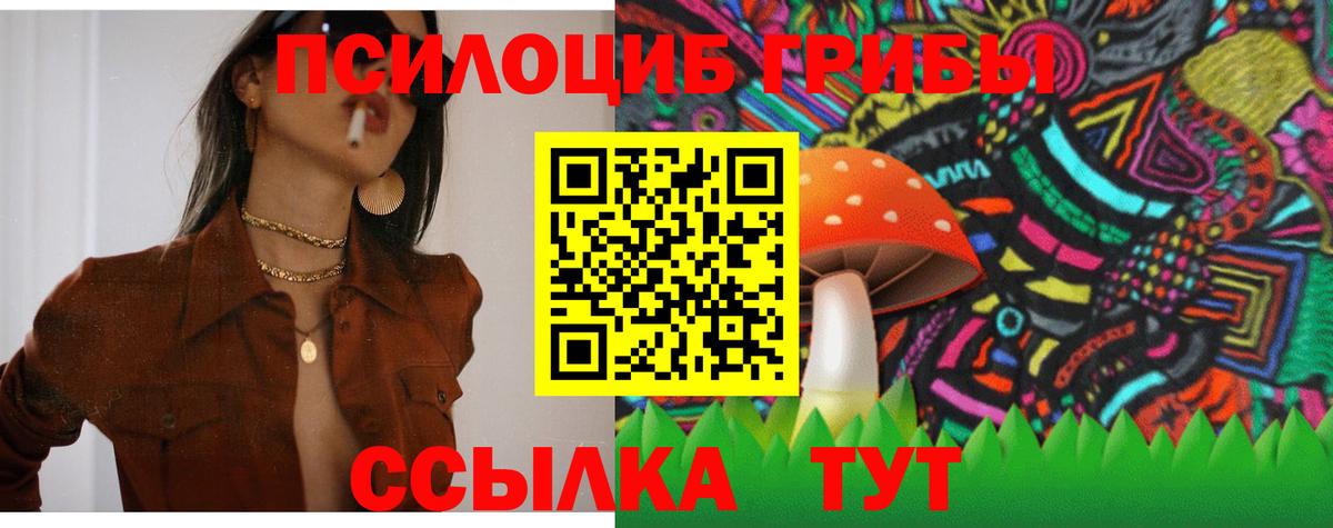 где купить наркотик  Псилоцибиновые грибы Psilocybine cubensis  Вход с VPN  Гуково  Псилоцибиновые грибы Psilocybe 